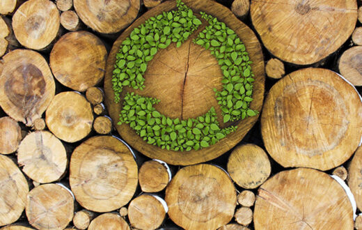 A1322-10-Sustainable-Materials-Every-Architect-Must-Know